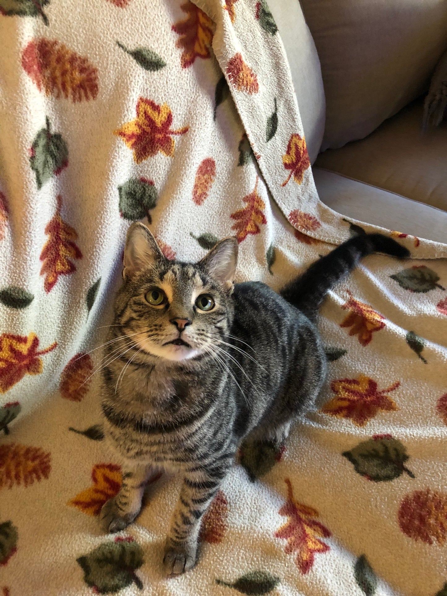 Oliver