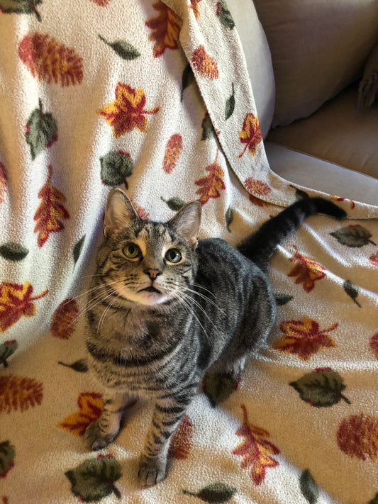 Oliver