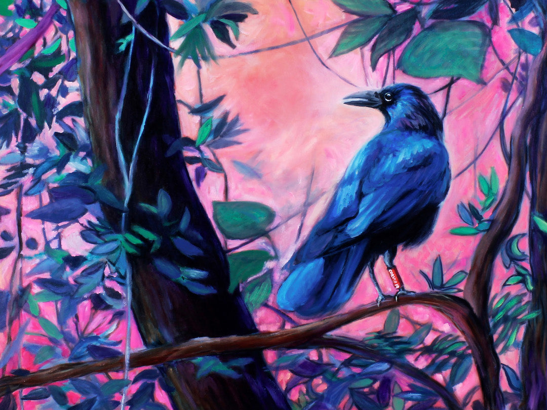 Lonely Corvid Paper Print