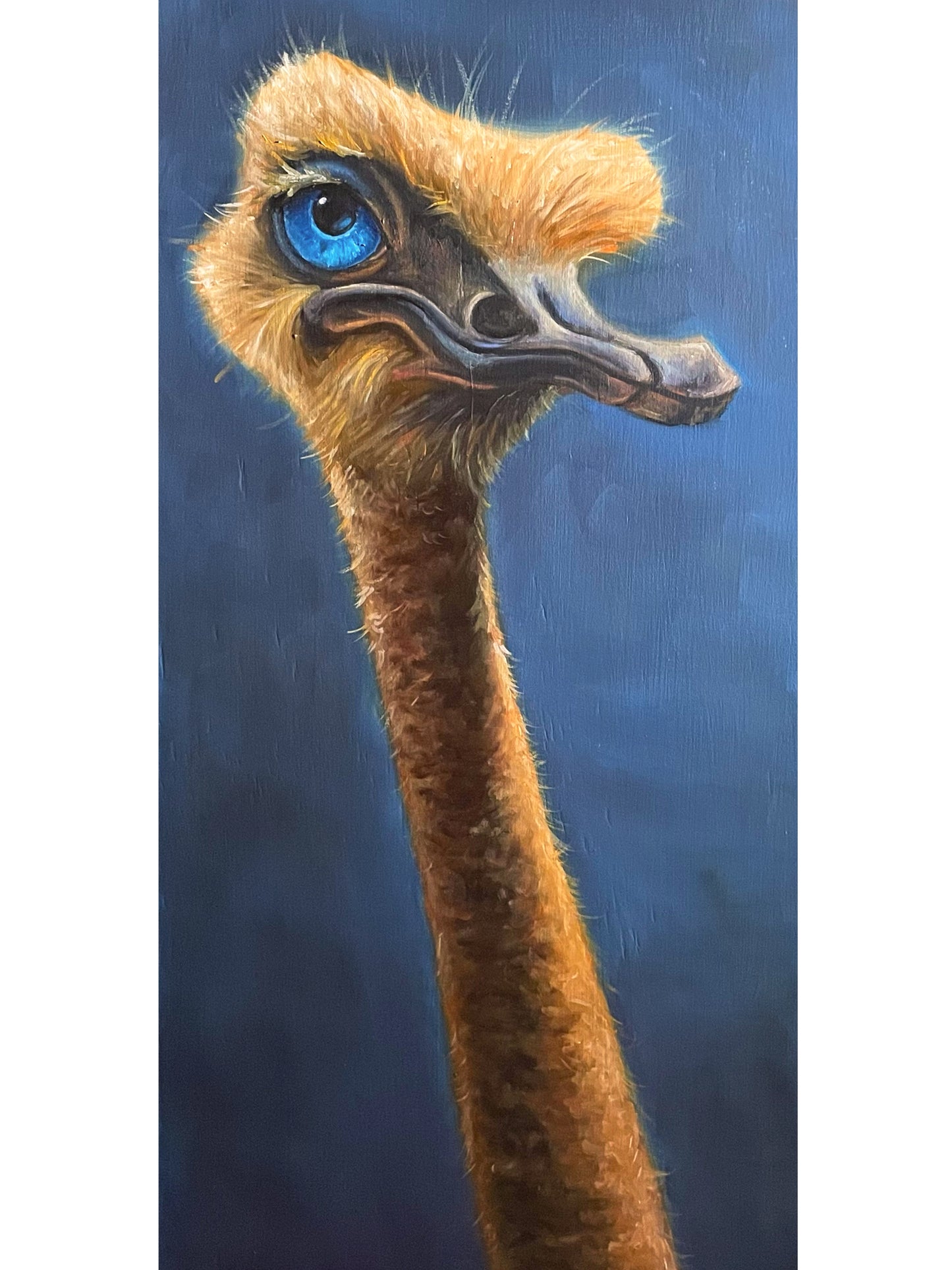 Sir Digby Chicken Caeser Canvas Print