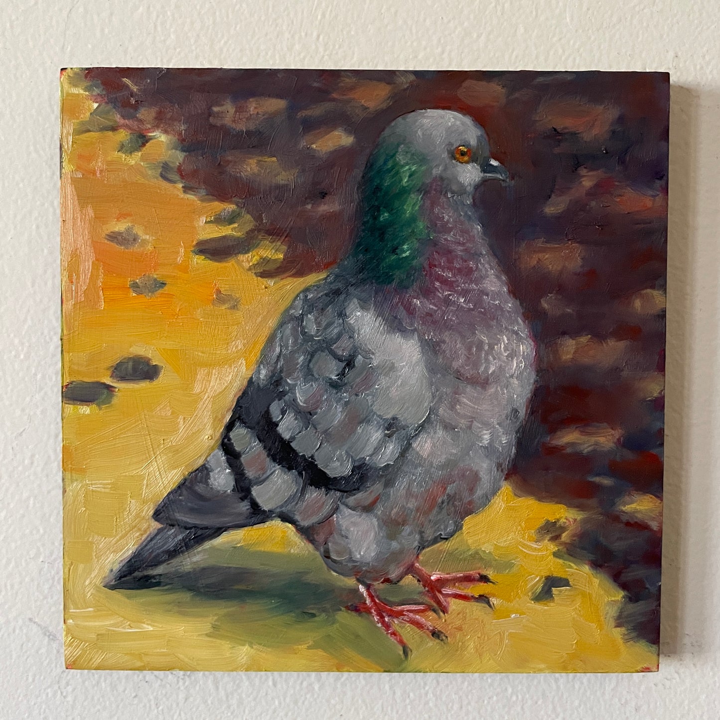 Pigeon